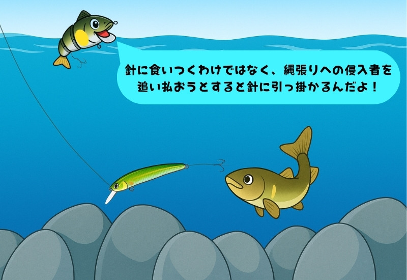 アユルアーフィッシングのイメージ図