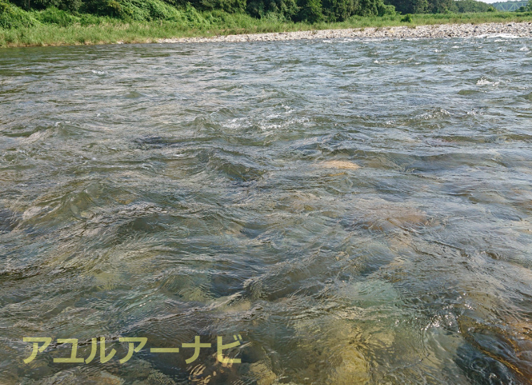 鮎釣りの川