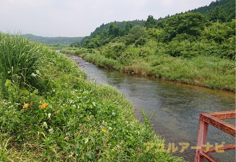 荒川のアユルアー可能エリアの画像