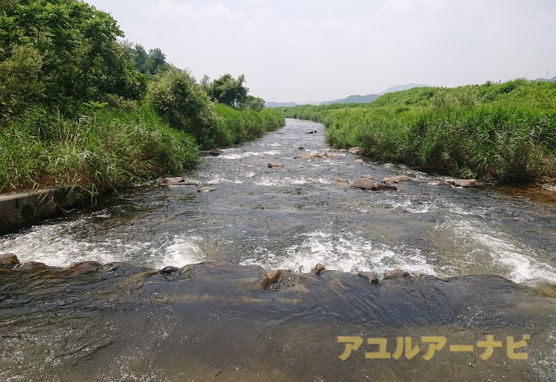荒川のアユルアー可能エリアの画像